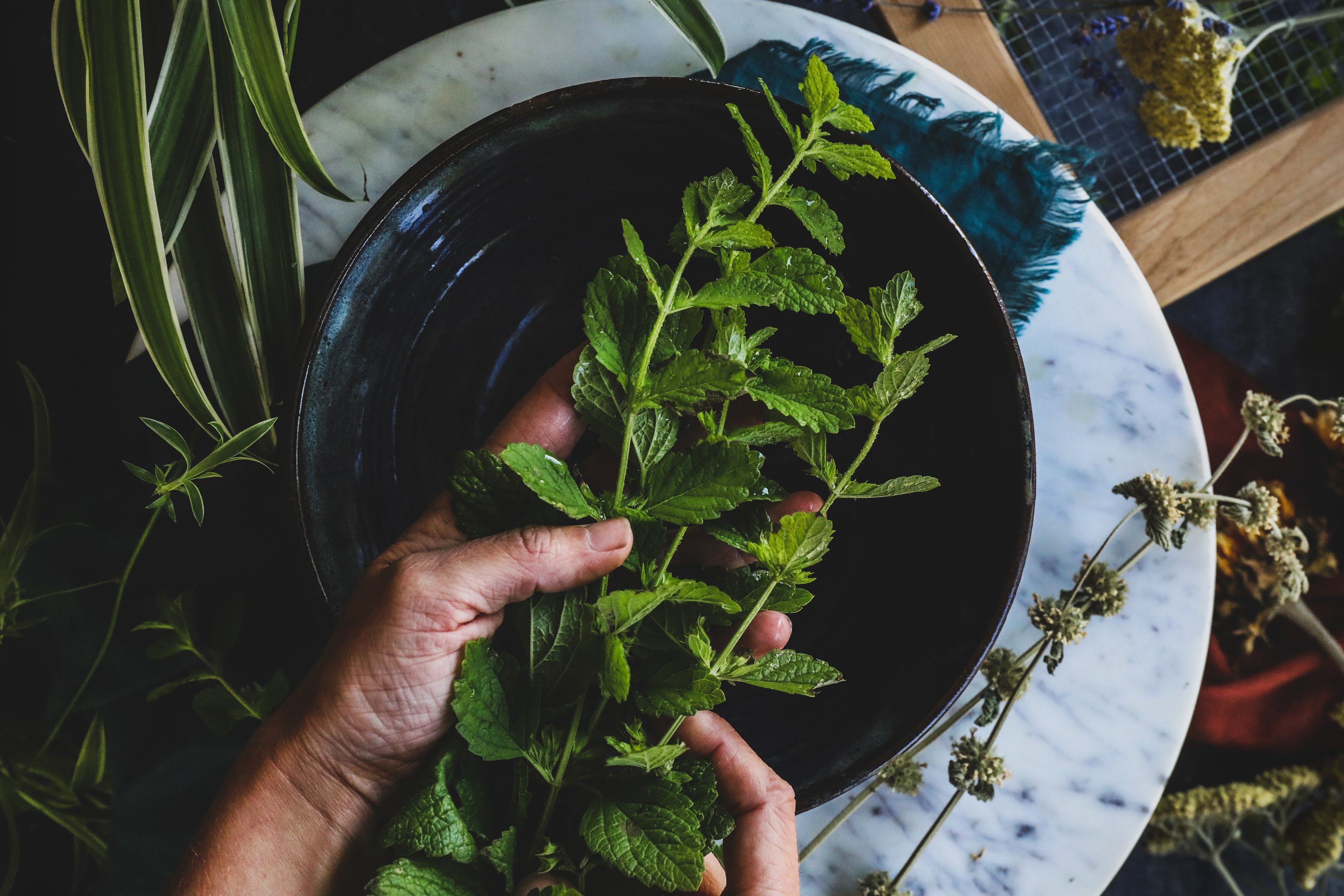 How to Harvest, Dry, & Store Herbs From the Garden